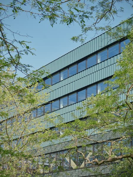 Paradise SE11 Mass Timber Office